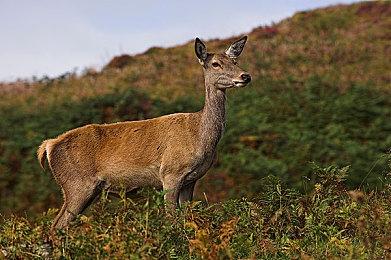 《自杀小队：杀死正义联盟》让华纳兄弟游戏收入暴跌41%